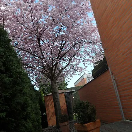 12 Appartement Praag